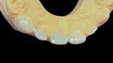 sheskin-6